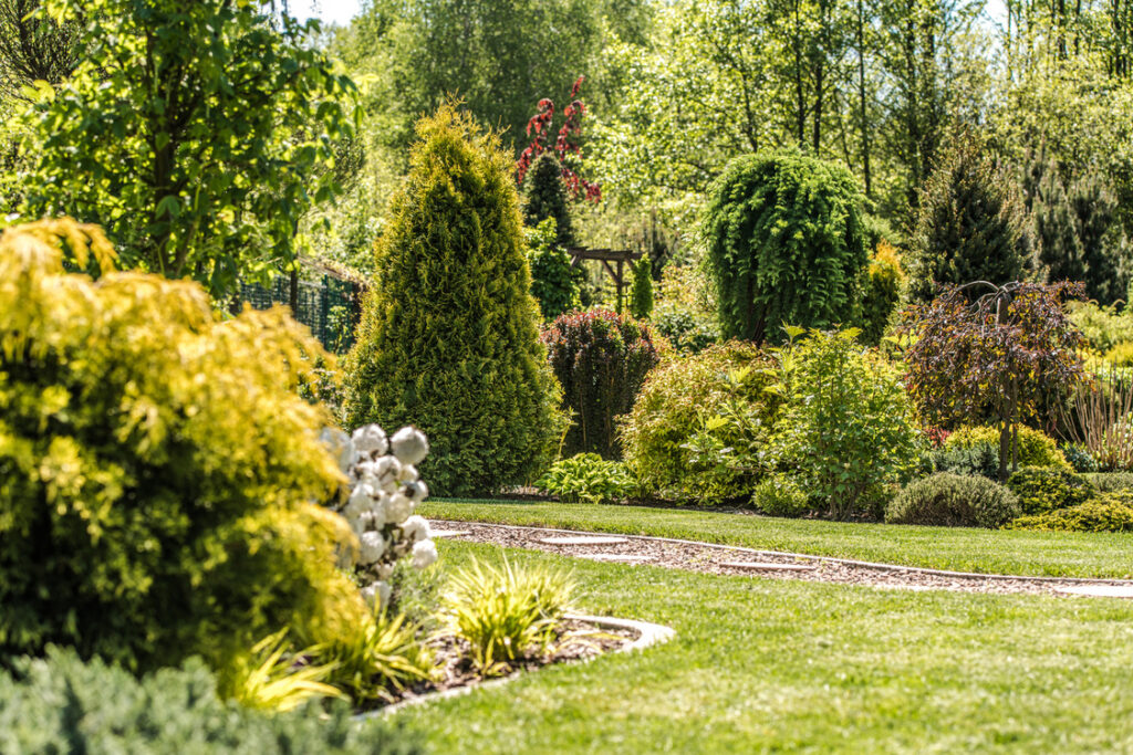 Backyard Garden with Mature Decorative Plants