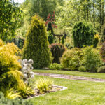 Backyard Garden with Mature Decorative Plants