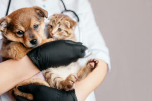 437-2